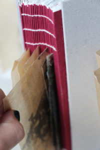 the "open" spine of the book